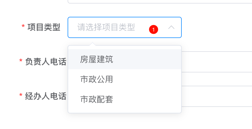 项目类型